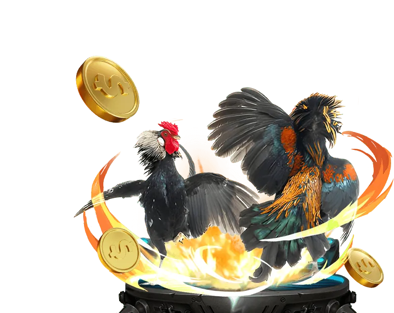 Hướng dẫn chơi Dragon Tiger tại SHBET